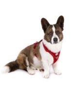 curli Belka Adjustable Neck нагръдник с регулиране около врата - Image 2