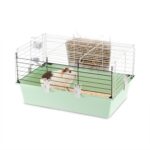 Ferplast Клетка за морски свинчета CAVIE 60, 58 x 38 x 32 см - зелен, Д 58 x Ш 38 x В 31 см