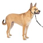 PetSafe Gentle Leader оглавник против дърпане