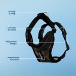 Best Pet Supplies Voyager Step-In Lock нагръдник за кучета и котки, S - Image 4