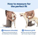 PetSafe Easy Walk Comfort нагръдник против дърпане - Image 5