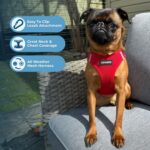 Best Pet Supplies Voyager Step-in Air нагръдник - Image 5