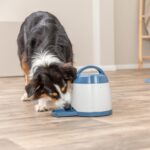 TRIXIE Играчка за кучета Интерактивна Dog Activity Memory Trainer 20x24 см - зелен, 1 брой (1 опаковка) - Image 4