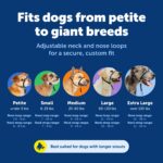 PetSafe Gentle Leader оглавник против дърпане - Image 5