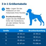 PetSafe 3-в-1 нашийник, размер M, черен - Image 7