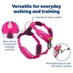 PetSafe Easy Walk Comfort нагръдник против дърпане - Image 4
