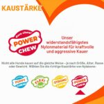 Interpet Nylabone Dura Chew - Кост за дъвчене, говеждо, голяма - Image 5