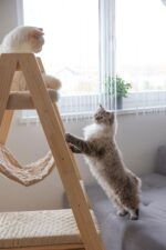 Kerbl Котешка катерушка със стълба - Image 6
