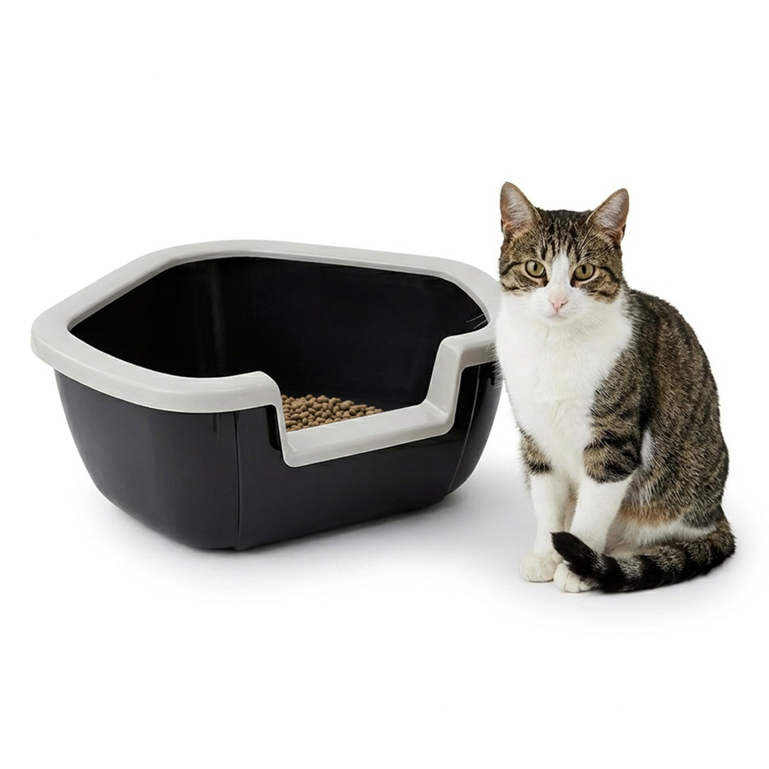 71mHNWPvpNL.jpg Ferplast Дама тоалетна за котки, черна, 57,5 x 51,5 x 22 см - Image 1