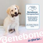 Benebone Кучешки кости за дъвчене 4 броя за нежни дъвчачи, размер S - Image 8