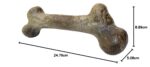 Pet Qwerks Dinosaurier-BarkBone кучешка играчка от найлон, 24,8 см - Image 10