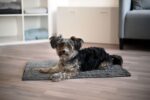 Kerbl Pet Superbed Постелка за кучета, 100 x 65 см, сива - Image 3