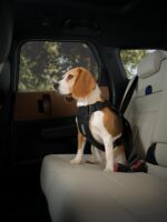 Thule Cappy автомобилен нагръдник - Image 3
