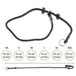Dingo Gear ръчно изработен нашийник - Image 8