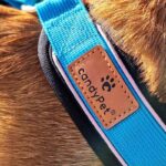 candyPet светлоотразителен Y-образен нагръдник - Image 6