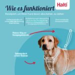Halti No Pull комплект нагръдник и повод за обучение - Image 2