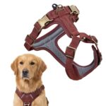Peluvio Lord кожен нагръдник с конструкция Guard