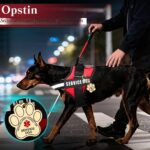 Opstin нагръдник за куче асистент с идентификационен медальон - Image 8