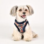 Puppia Gianni Нагръдник за малки и средни кучета, размер L, Тъмносин - Image 4