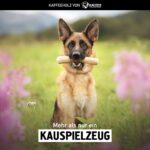 Kauies Играчка за дъвчене от дървесина на кафеено дърво, L, 2 броя - Image 6