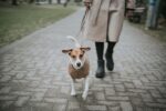 HUNTER Malmö пуловер за кучета - Image 7