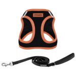 Best Pet Supplies Voyager Step-in Air комплект нагръдник и светлоотразителен повод