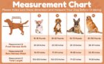 Doggie Stylz Мултифункционален нагръдник за кучета, размер L - Image 2