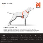 Non-stop dogwear Line 5.0 нагръдник - Image 3