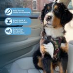 Best Pet Supplies Voyager Step-In Lock нагръдник за кучета и котки, S - Image 3