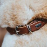 HUNTER ROUND & SOFT нашийник - Image 3