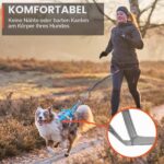 Non-stop dogwear Freemotion 5.0 теглещ нагръдник за кучета, черен/оранжев, размер 3 - Image 6