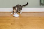 PetSafe ZIP Автоматична играчка с лазер за котки, бяла - Image 7