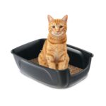 Ferplast Отворена котешка тоалетна XXL, черна, 67×49×24 см