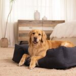 Intex легло за кучета надуваемо 97x74x23 см до 22,7 кг - тъмносив, Д 97 x Ш 74 x В 23 см - Image 5