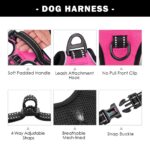PHOEPET нагръдник със светлоотразителни елементи - Image 4