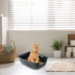 Ferplast Отворена котешка тоалетна XXL, черна, 67×49×24 см - Image 6