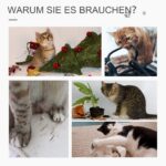 PawHut котешка катерушка - Image 5