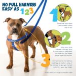 2 Hounds Design Freiheit нагръдник за куче, размер M - Image 3