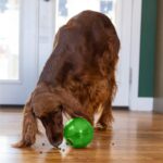 Planet Dog Orbee-Tuff Mazee - Интерактивна играчка за кучета - Зелена - Image 3