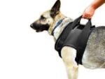 Julius-K9 Нагръдник Neopren, размер L, черен