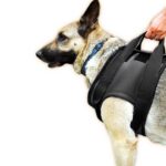 Julius-K9 Нагръдник Neopren, размер L, черен