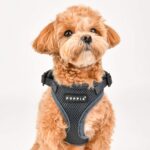 Puppia Ritefit регулируем нагръдник - Image 4