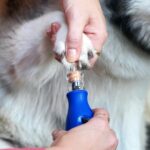 Dremel 7350 PET Електрическа пила за нокти с 3.6V акумулатор - Синьо - Image 9