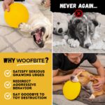 WoofBite фризби за кучета от издръжлив каучук, среден размер - Image 8
