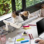InnovaGoods Халка за котки, легло от вълна, устойчива на драскане - Image 5