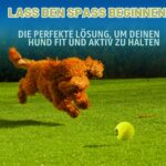 Nerf Dog Тенис топка за кучета с бластер, до 15 м, синьо - Image 3