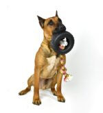 Mammoth TireBiter II гумена играчка за кучета с въже, XL - Image 3