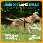 2 Hounds Design Freiheit нагръдник за куче, размер M - Image 5