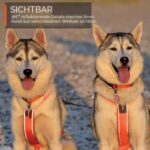 Non-stop dogwear Line 5.0 нагръдник - Image 9