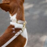 NINA WOOF Cupertino повод от веганска кожа - Image 5